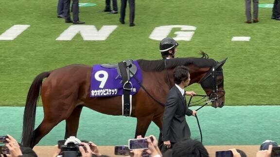 今日の馬券