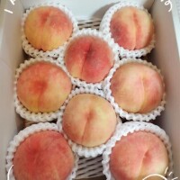 ひかる