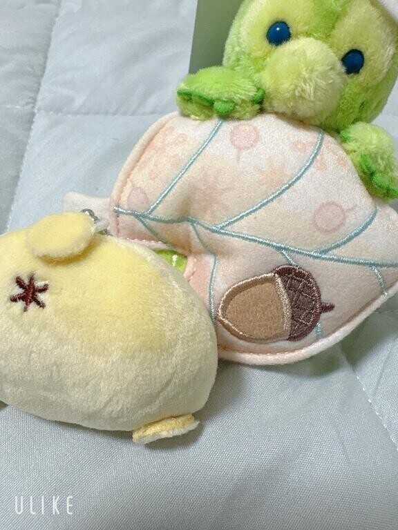 ゴールデンレトリバーとカメ??