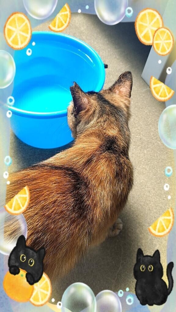 9月～ありがとう_(_^_)_