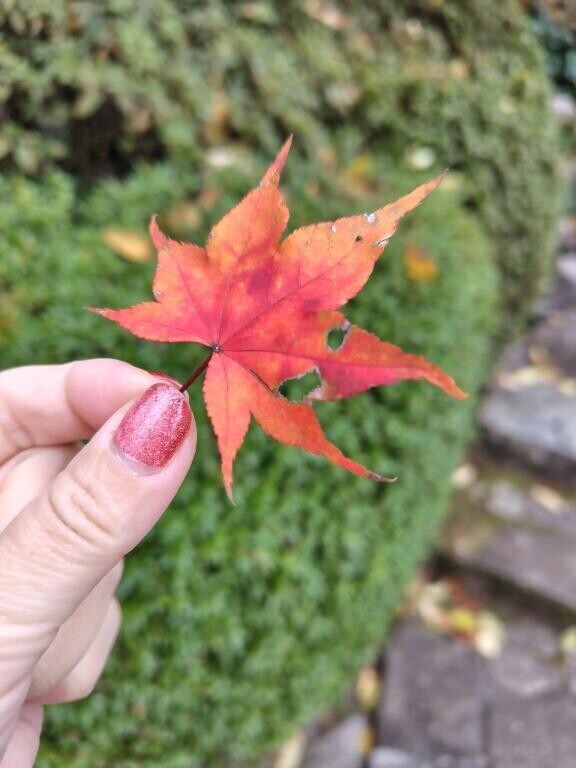 [お題]from:columbooさん