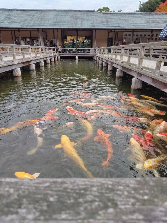 おはようございます?