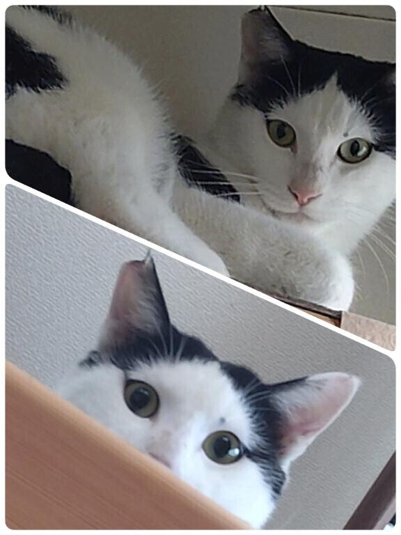 11月のありがとう_(_^_)_