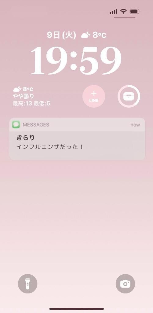 ウイルスとタイマン張ってきました