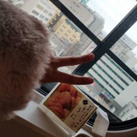 らん