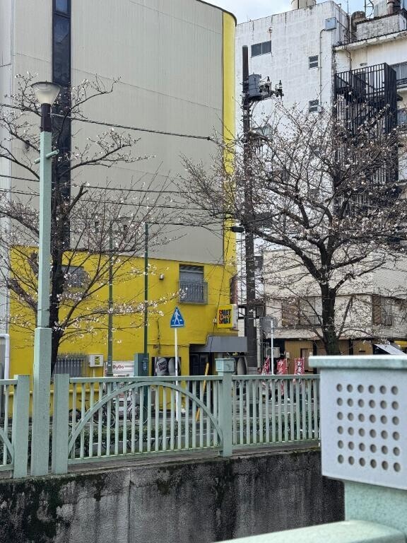 少しずつ春が近づく?