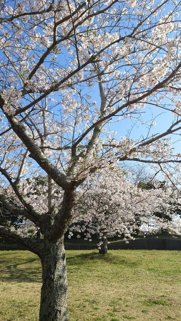 おはようございます?