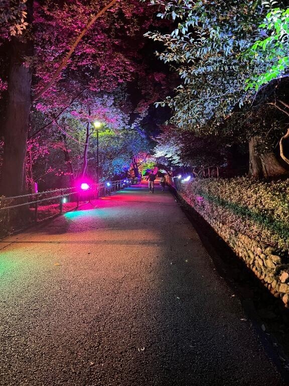 あった！！！！