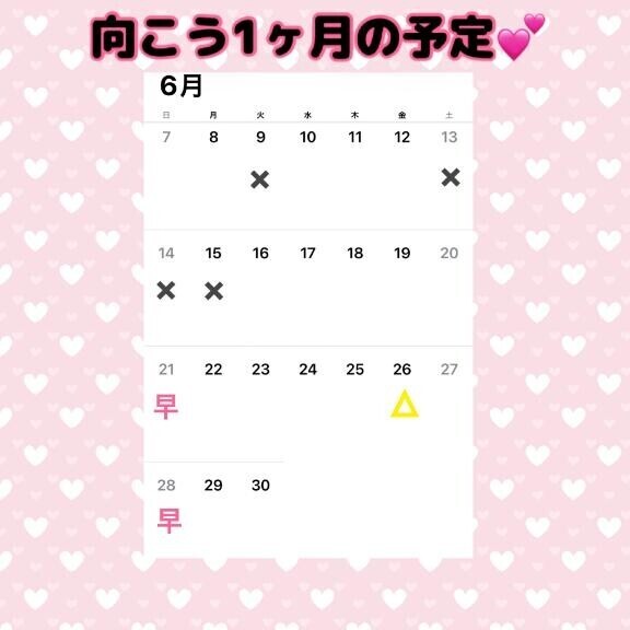 6月の予定（仮）?