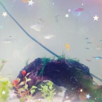みさき