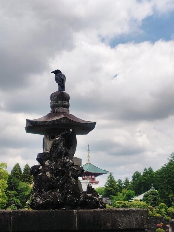 6月もよろしくお願いします?