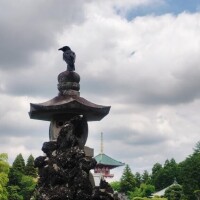 ひかる