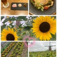 Yさまへ