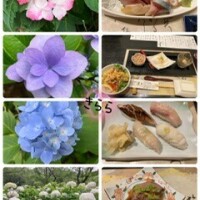 Yさまへ