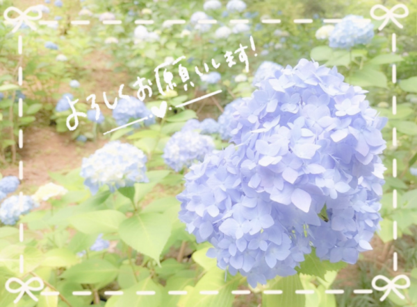 本日出勤❣️