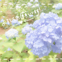 いちか
