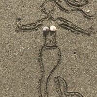 きこ