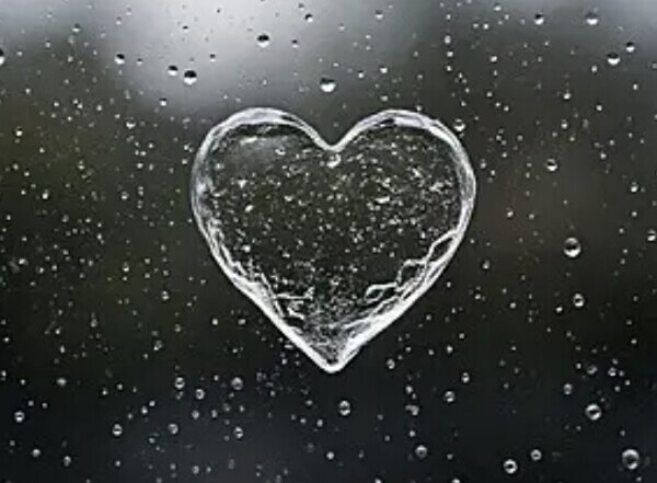 ♥️おはようございます♥️
