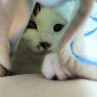 ゆきみ