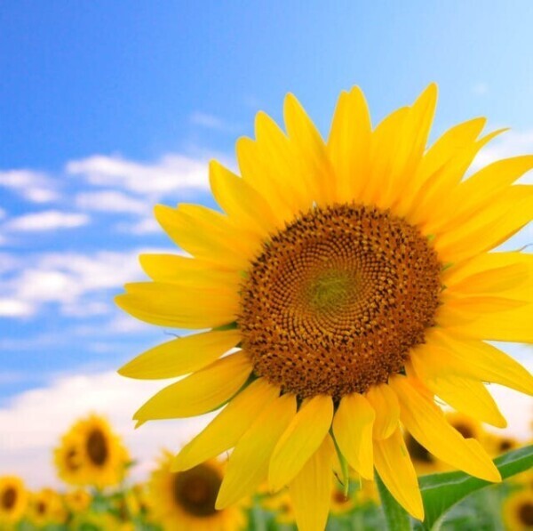 8月初出勤です🌻♡