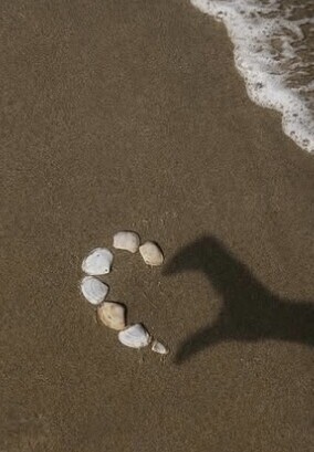 ♥️おはようございます♥️