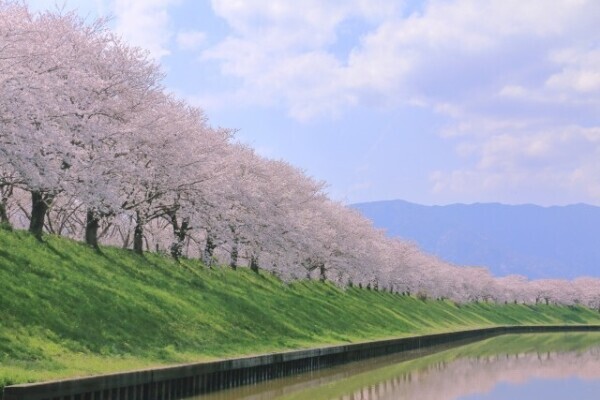 3月24日(月)🫶本日出勤します