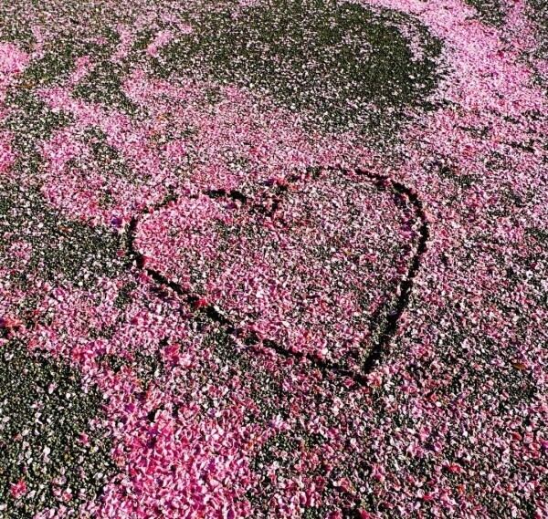 💛ありがとうございます💛
