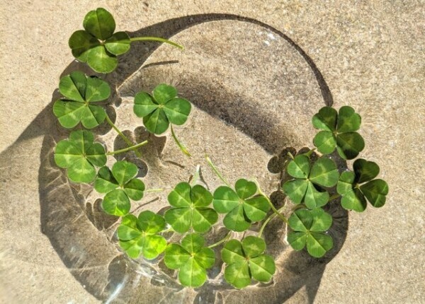 4月10日(木)本日出勤します✨