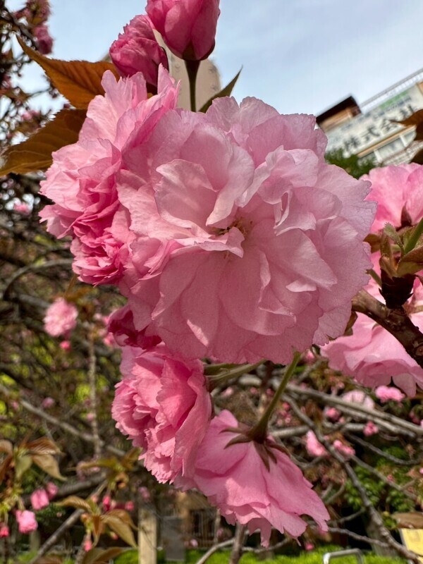 💛おはようございます💛