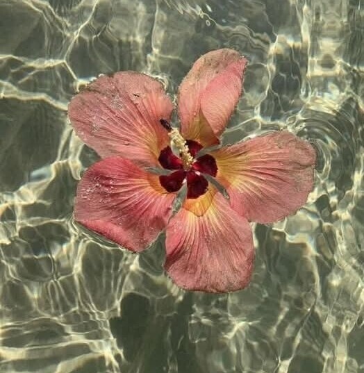 💛おはようございます💛
