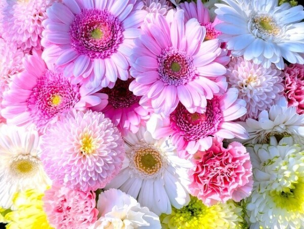 17日(木)はお休みします🌸18日(金)と19日(土)は出勤です🌸