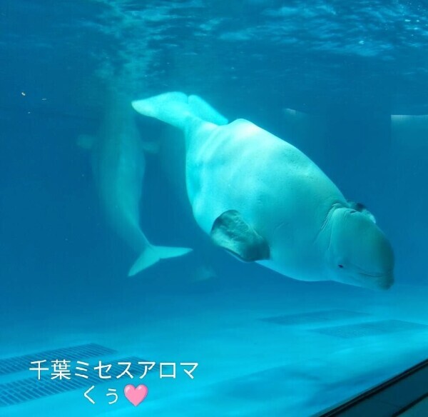 …したぃ…💕？