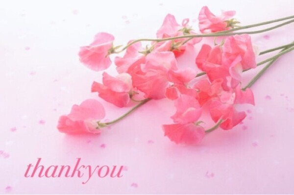 thankyou🍱