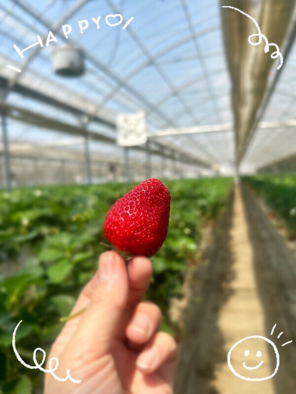 今年最後の🍓