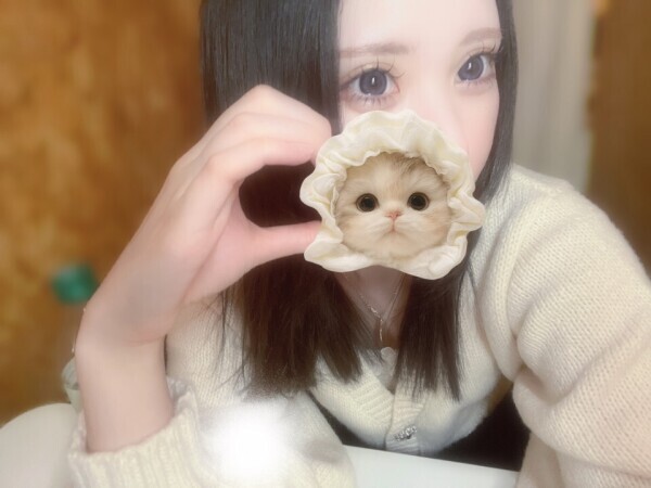 ご報告😿