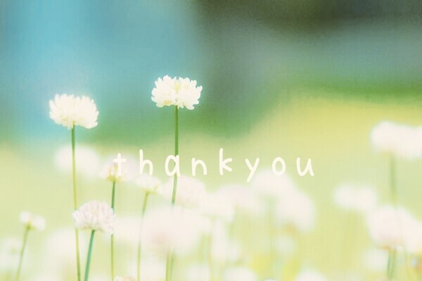 thankyou🐱