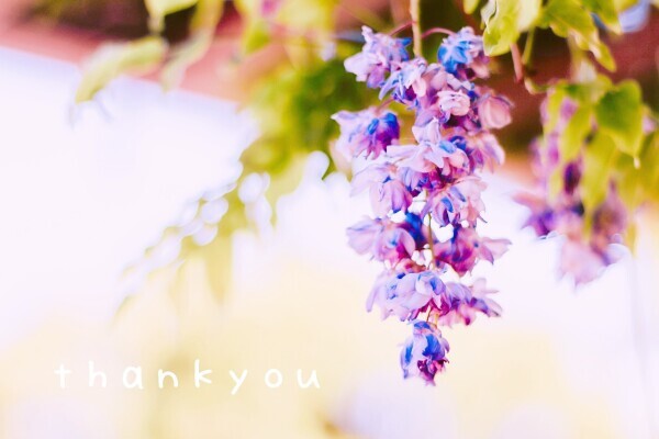 thankyou☂️