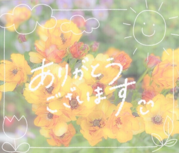 本日出勤❣️