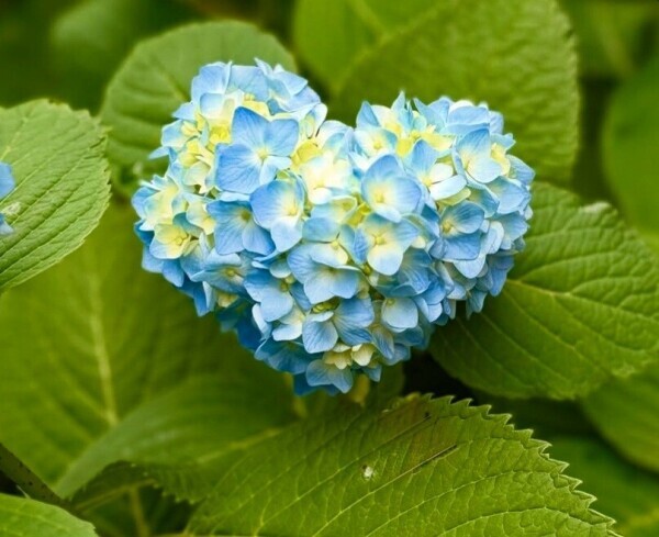 💛ありがとうございます💛