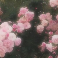 えみり