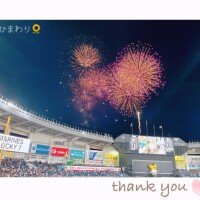 ひまわり