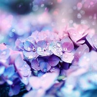 あやり