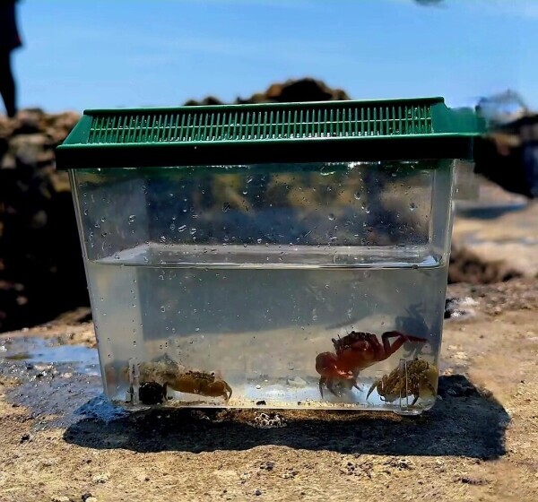 💛海💛