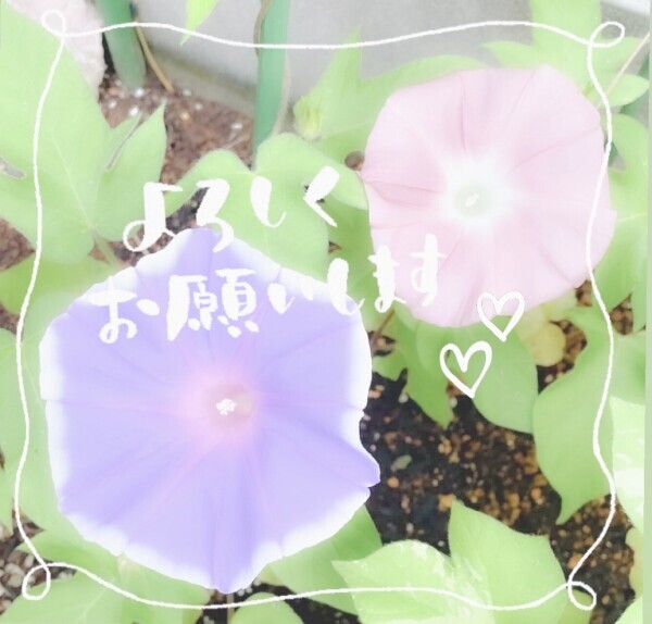 本日出勤❣️