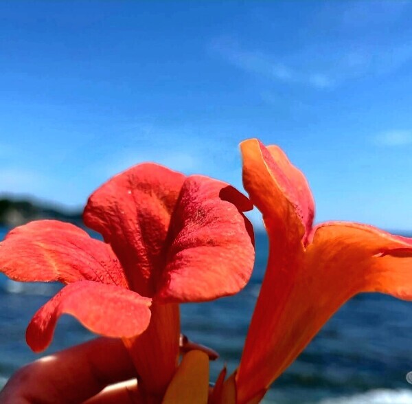 💛ありがとうございます💛