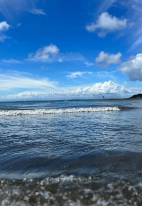 💛海💛