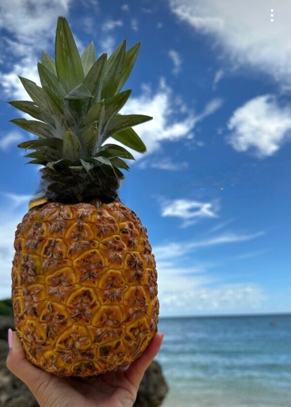 💛ありがとうございます💛