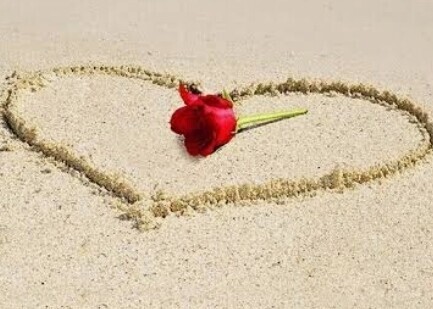 💛おはようございます💛