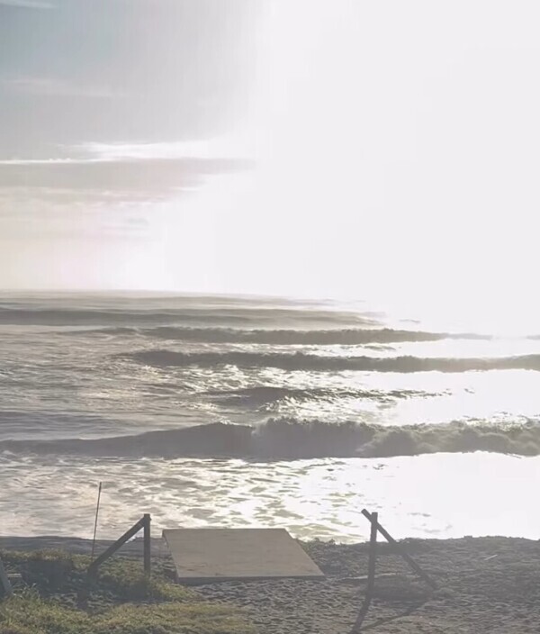 💛こんばんは💛