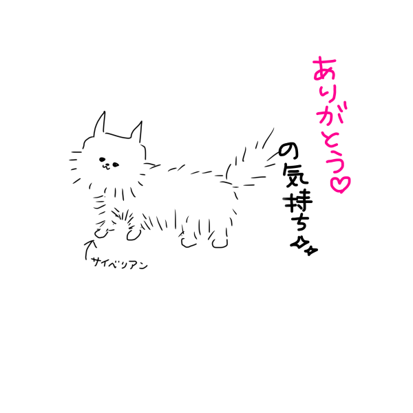 金曜日のありがとう②